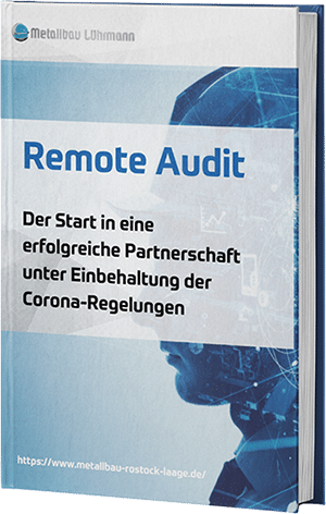 Remote Audit E-Book